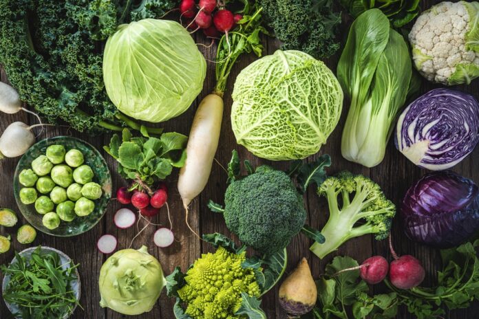 vegetais-podem-reduzir-risco-de-cancer-de-mama,-diz-estudo.-veja-quais