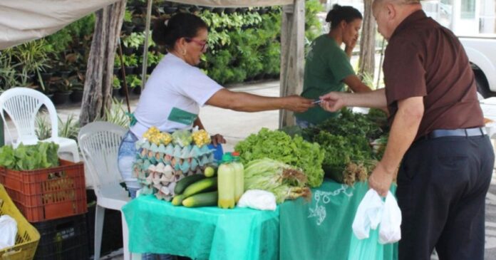 governo-fixa-preco-minimo-em-r$-5-mil-para-proteger-agricultor-familiar