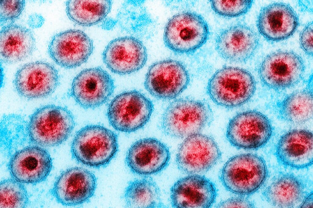 oms-parabeniza-o-brasil-pelo-fim-da-transmissao-vertical-do-hiv