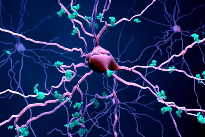 alzheimer:-medicamento-pode-reduzir-morte-de-neuronios,-indica-estudo