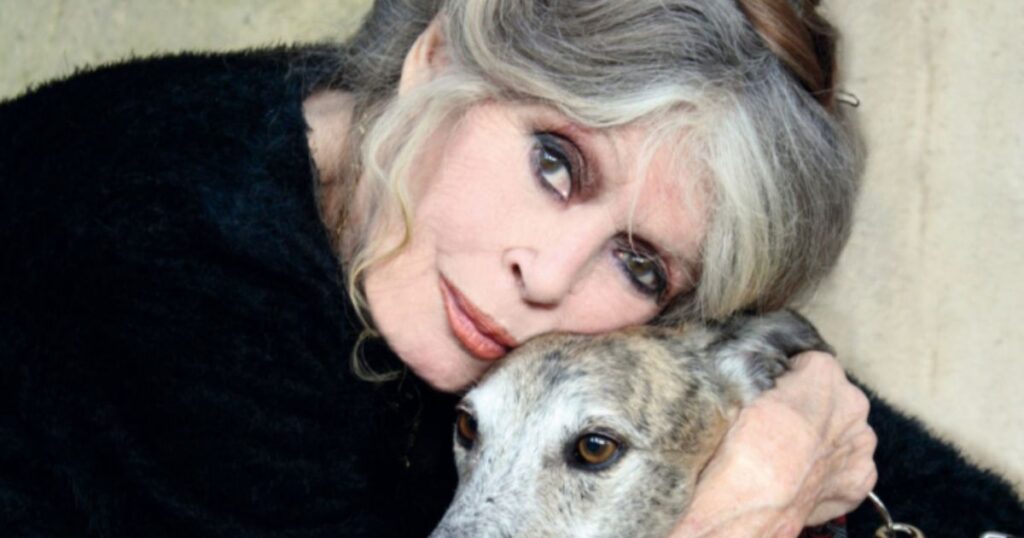 brigitte-bardot-foi-defensora-dos-animais-e-criou-fundacao-dedicada-a-causa