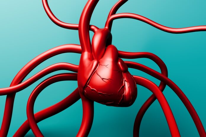 medica-vascular-da-4-dicas-para-ter-arterias-mais-saudaveis