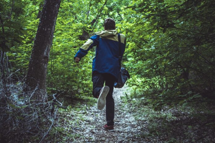 biofobia:-por-que-algumas-pessoas-nao-gostam-do-contato-com-a-natureza