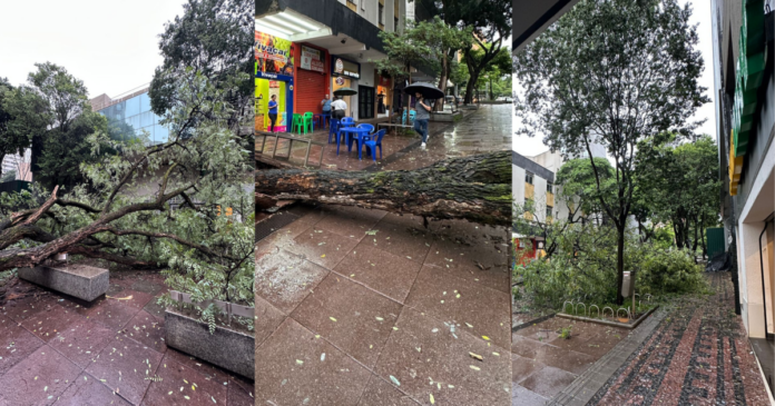 governo-federal-reconhece-emergencia-em-cidades-de-mg;-inmet-alerta