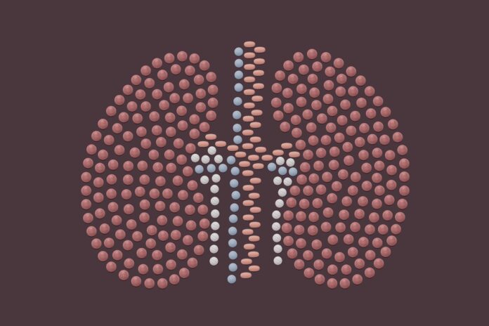 remedio-usado-para-artrite-pode-melhorar-rins-doados-para-transplante