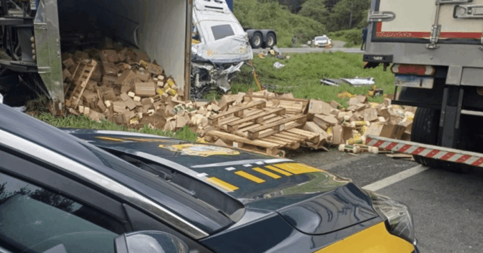 tres-homens-sao-presos-por-roubo-que-terminou-em-acidente-com-seis-mortes