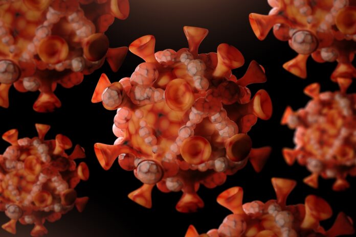 mpox:-estudo-mostra-evolucao-inusitada-na-doenca-e-recomenda-atencao