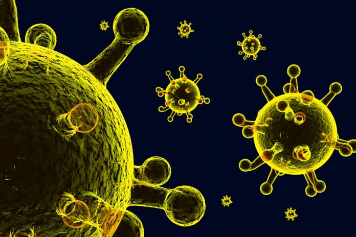 opas-alerta-para-circulacao-simultanea-de-virus-influenza-e-vsr