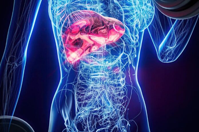 endocrinologista-aponta-o-melhor-tratamento-contra-gordura-no-figado