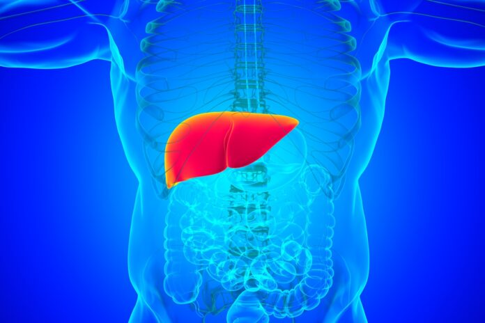 endocrinologista-lista-os-sintomas-silenciosos-da-gordura-no-figado