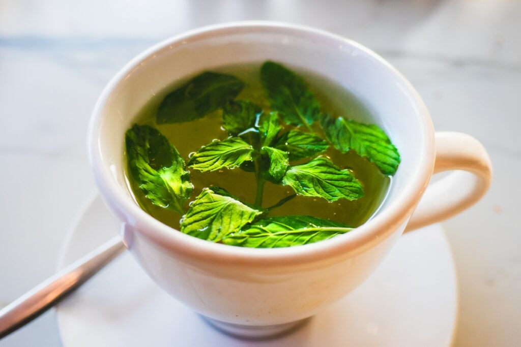 guia-do-cha:-saiba-como-armazenar-ervas-secas-e-frescas-e-evitar-mofo