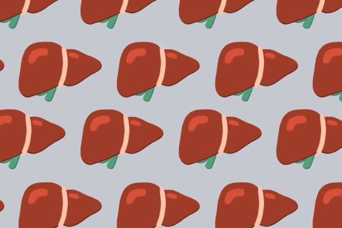 endocrinologista-aponta-8-habitos-para-reverter-a-gordura-no-figado