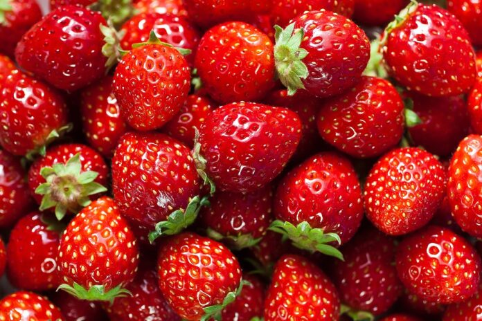 quais-sao-as-vantagens-de-comer-morango-todos-os-dias