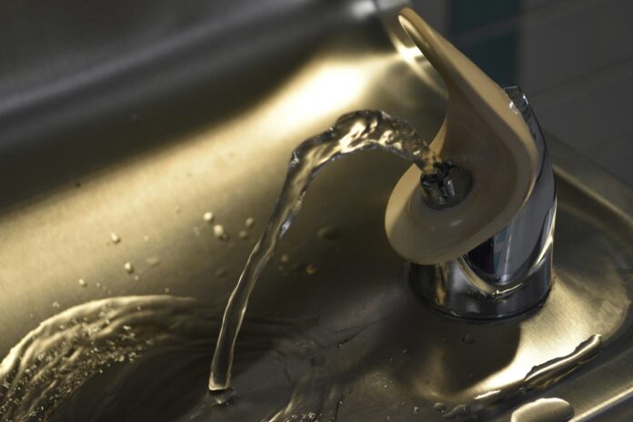 bebedouros-de-agua-podem estar-repletos-de-bacterias,-alerta-estudo