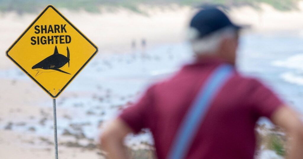 praias-de-sydney-sao-fechadas-apos-tres-ataques-de-tubarao-em-26-horas