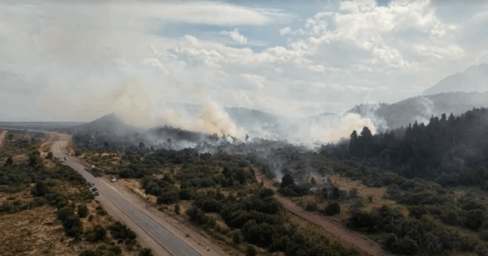 bombeiros-combatem-incendio-sem-precedentes-na-patagonia,-na-argentina