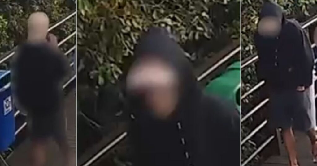 cao-orelha:-policia-pede-apreensao-de-passaporte-de-adolescente-suspeito