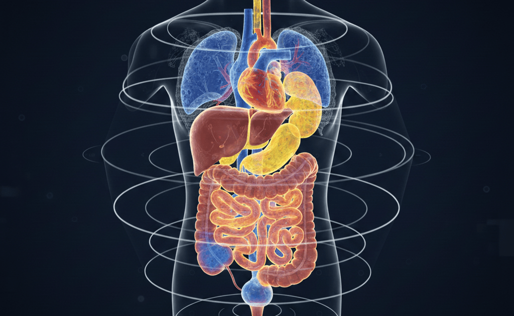 cientistas-desenvolvem-exame-que-revela-corpo-humano-em-3d-e-cores