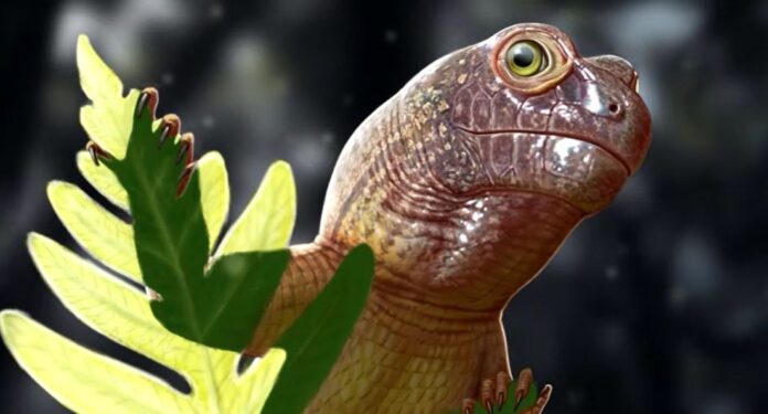 pequeno-fossil-de-pararreptil-revela-segredos-do-ecossistema-pre-dinossauro