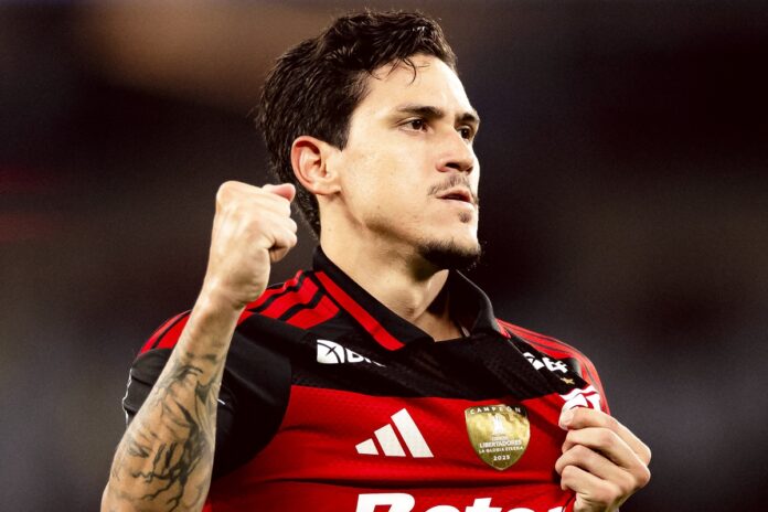 em-duelo-de-rubro-negros,-vitoria-recebe-flamengo-pelo-brasileirao