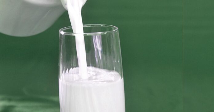 lacteos-devem-registrar-crescimento-moderado-em-2026