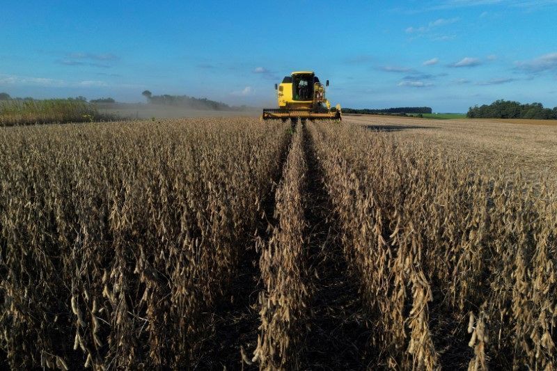 exportacao-de-soja-do-brasil-em-fevereiro-mantem-ritmo-abaixo-em-2025