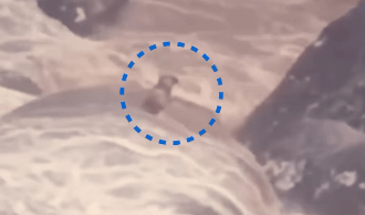 cachorro-cego-e-surdo-e-resgatado-apos-ficar-ilhado-no-rj;-veja-video