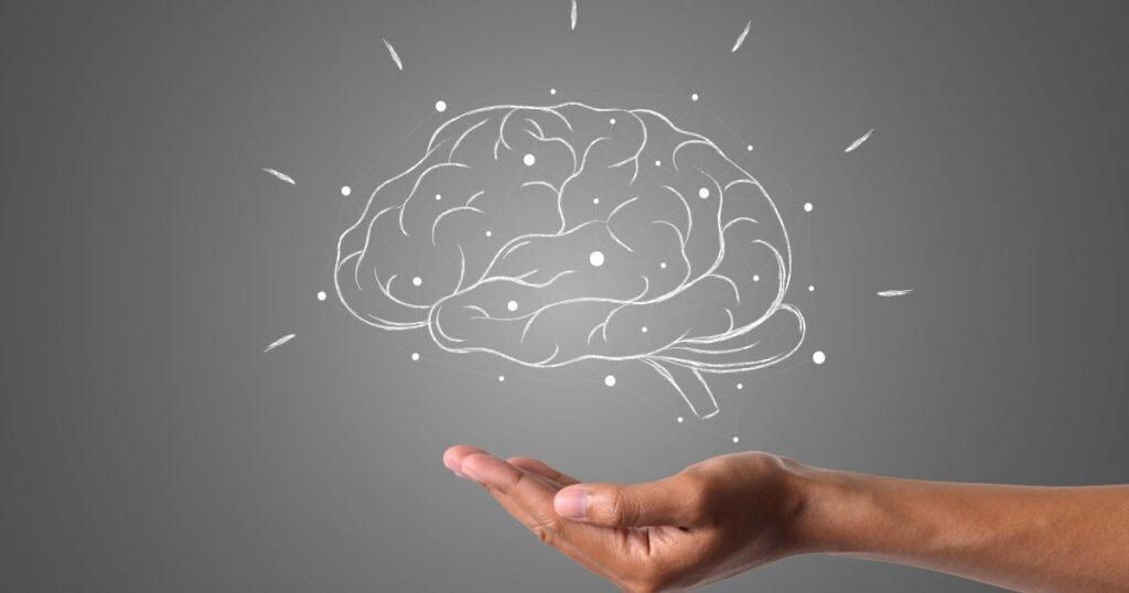 projeto-reune-estudantes-para-explorar-os-misterios-do-cerebro