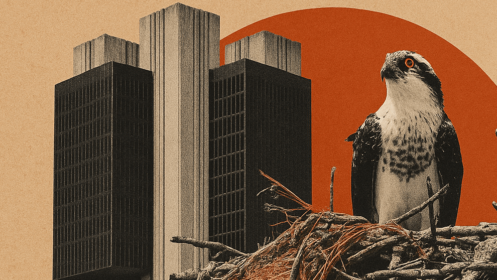 bc-nao-pode-ser-mais-nervoso-que-mercado,-dizem-analistas