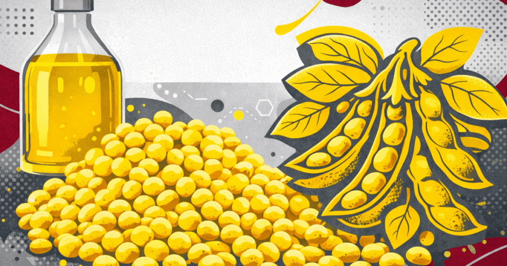 brasil-projeta-recorde-de-processamento-de-soja-em-2026