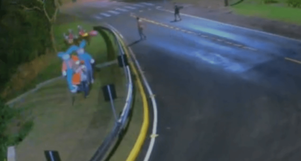 “coelho-de-pascoa”-e-furtado-em-cidade-do-rio-grande-do-sul;-assista