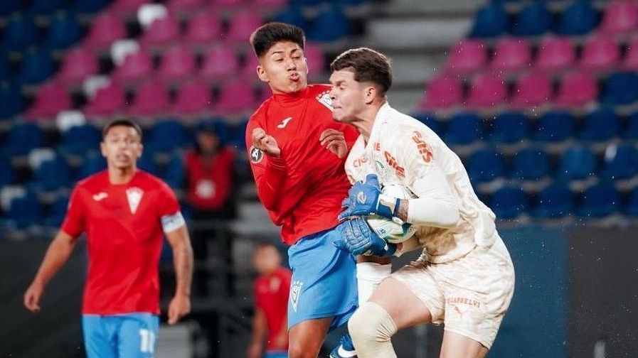 com-tres-expulsos,-palmeiras-cai-na-semifinal-da-libertadores-sub-20