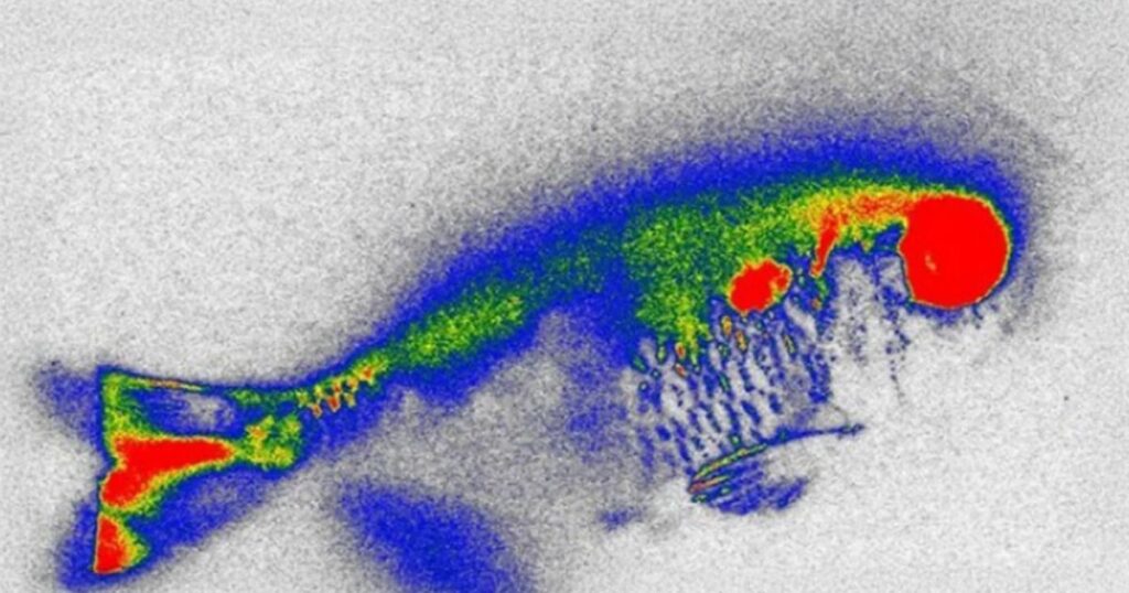 estudo-detecta-antibioticos-no-rio-piracicaba,-um-dos-principais-de-sp