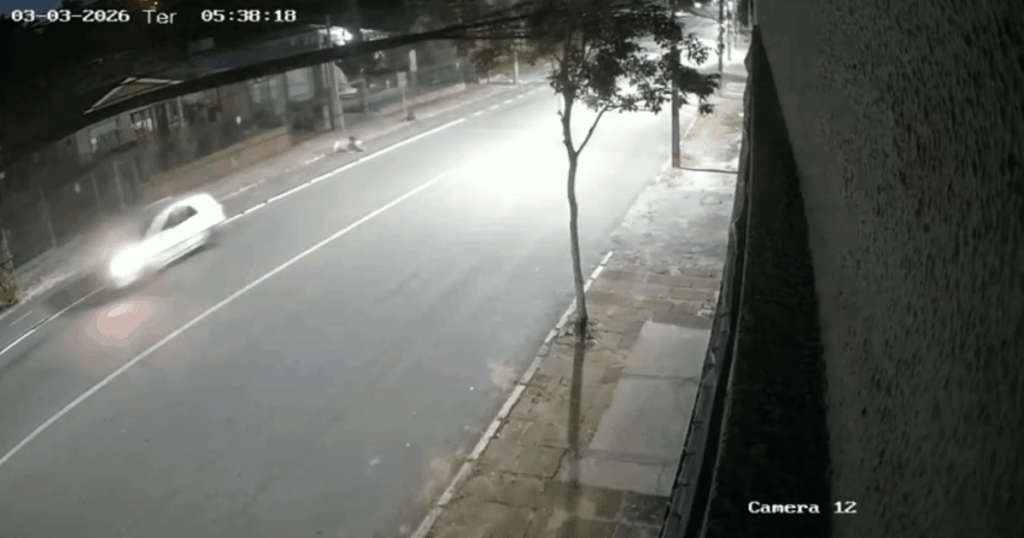 atropelamentos-em-serie:-medico-e-denunciado-por-tentativas-de-homicidio