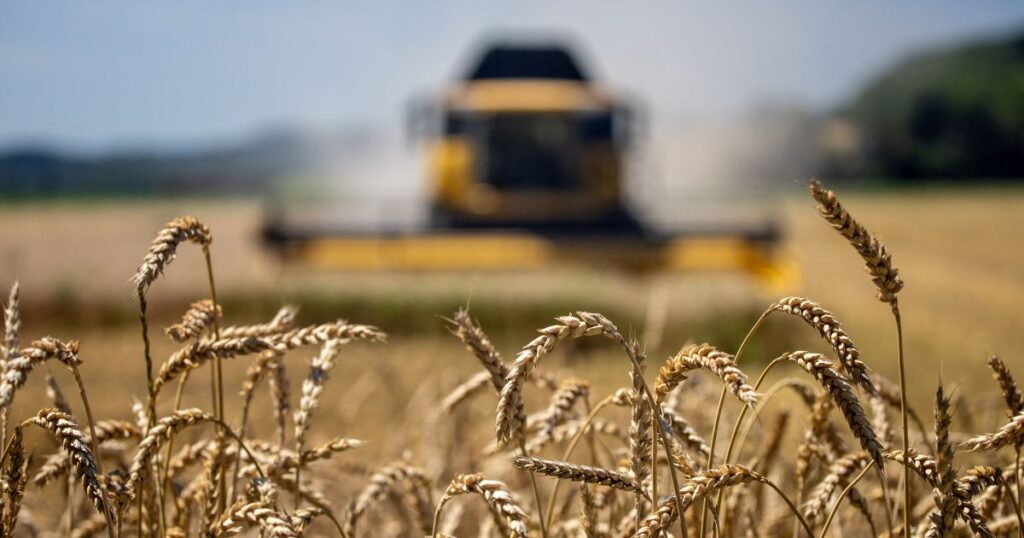 goias-usa-creditos-de-icms-para-atrair-ldc