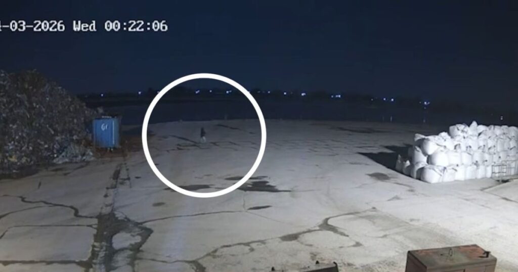 policia-britanica-divulga-novas-imagens-de-brasileira-desaparecida;-veja