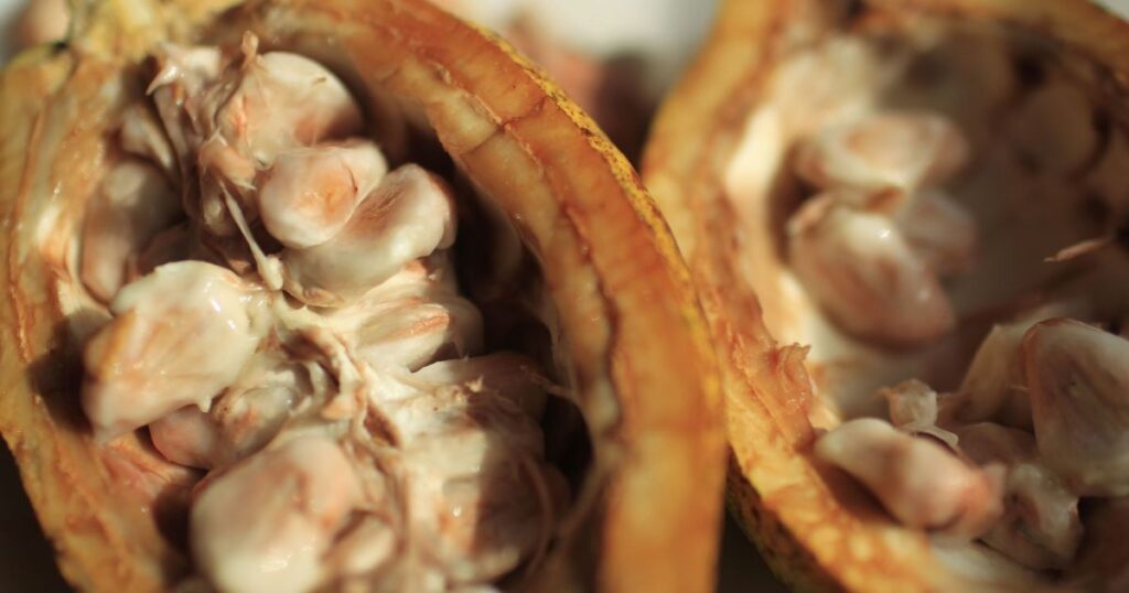 cacau-cai-quase-3%-em-nova-york-com-demanda-fraca-e-estoques-elevados