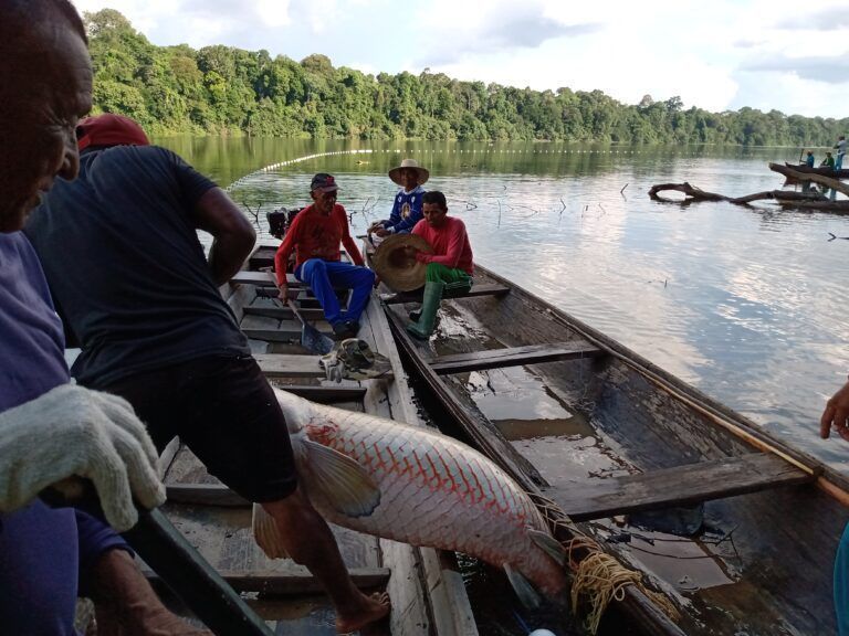 projetos-de-carbono-estruturados-fortalecem-bioeconomia-na-amazonia
