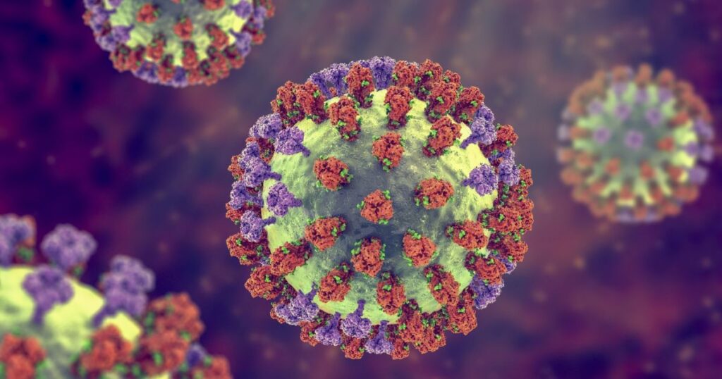 pesquisadores-fazem-descoberta-sobre-virus-que-afeta-95%-das-pessoas