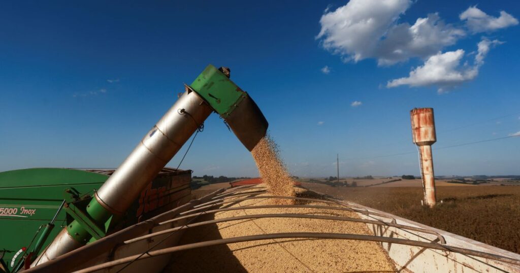 preco-do-biodiesel-reage-no-brasil-apos-quatro-semanas-de-baixa