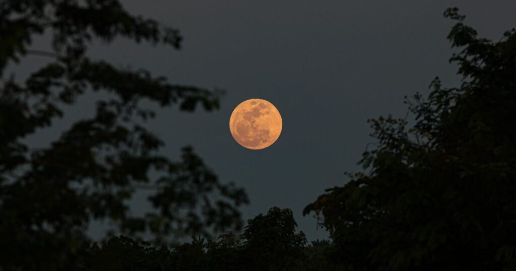 “lua-cheia-das-flores”-ocorrera-em-1o-de-maio;-entenda-significado