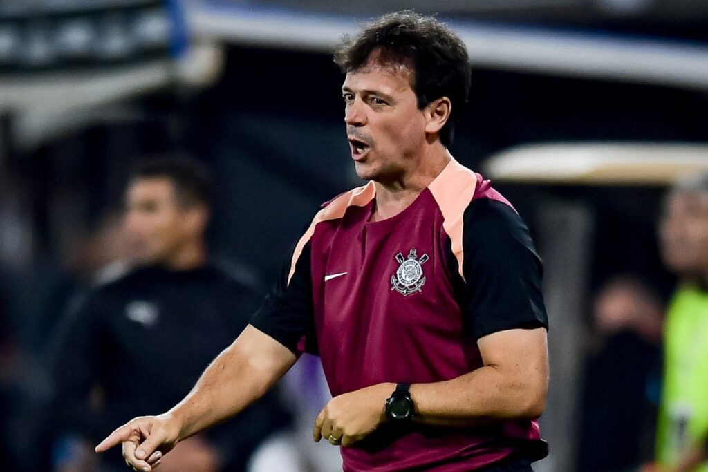 “foi-desnecessaria”,-diz-diniz-sobre-expulsao-de-andre-contra-o-vasco