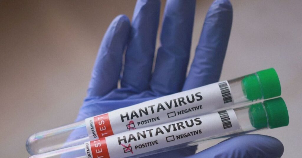 hantavirus-no-brasil:-quais-os-riscos-e-como-prevenir-a-doenca?