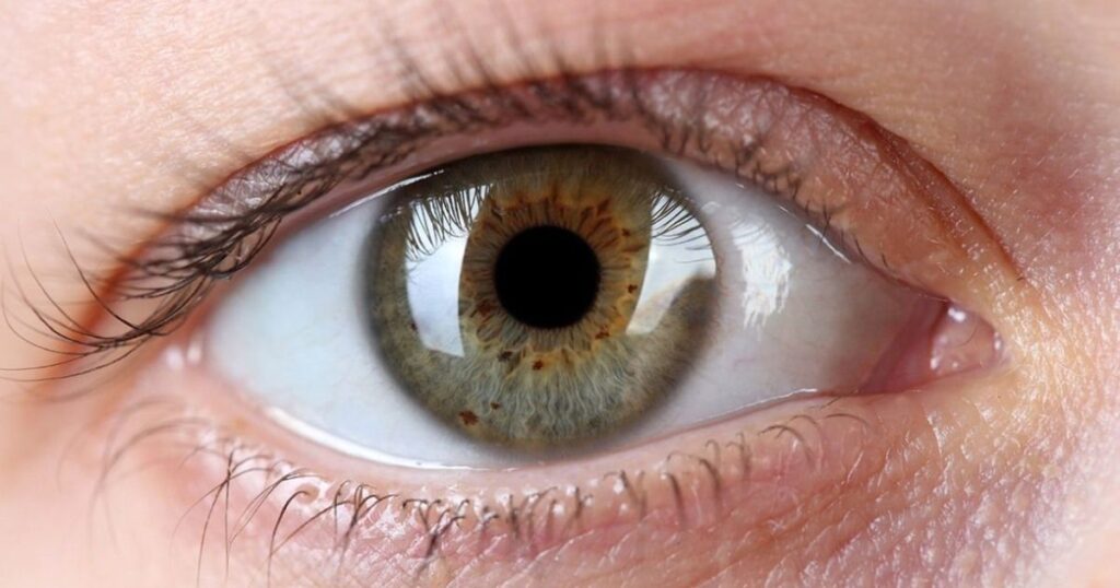glaucoma:-o-perigo-que-rouba-a-visao-sem-avisar-e-ainda-pode-ser-evitado