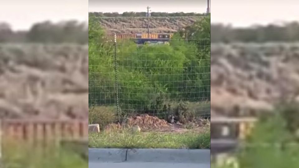ao-menos-seis-corpos-sao-encontrados-em-vagao-de-trem-nos-eua,-diz-policia