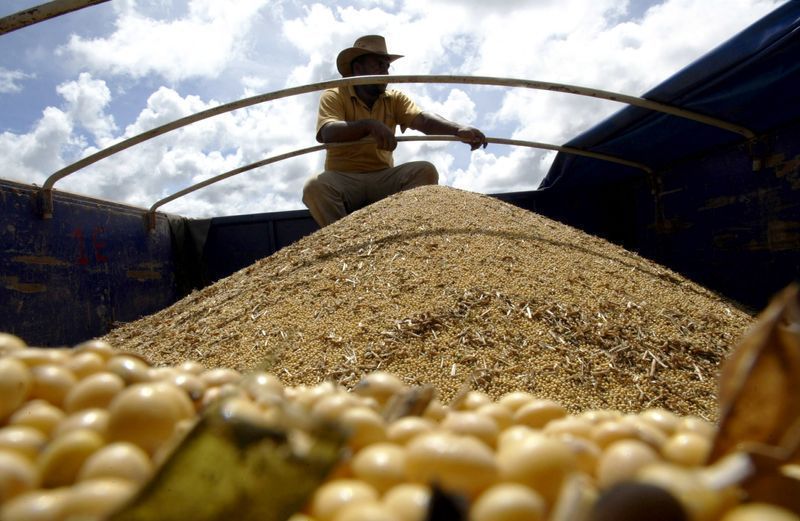 congelamento-do-fethab-em-mato-grosso-e-prorrogado-ate-dezembro-de-2026