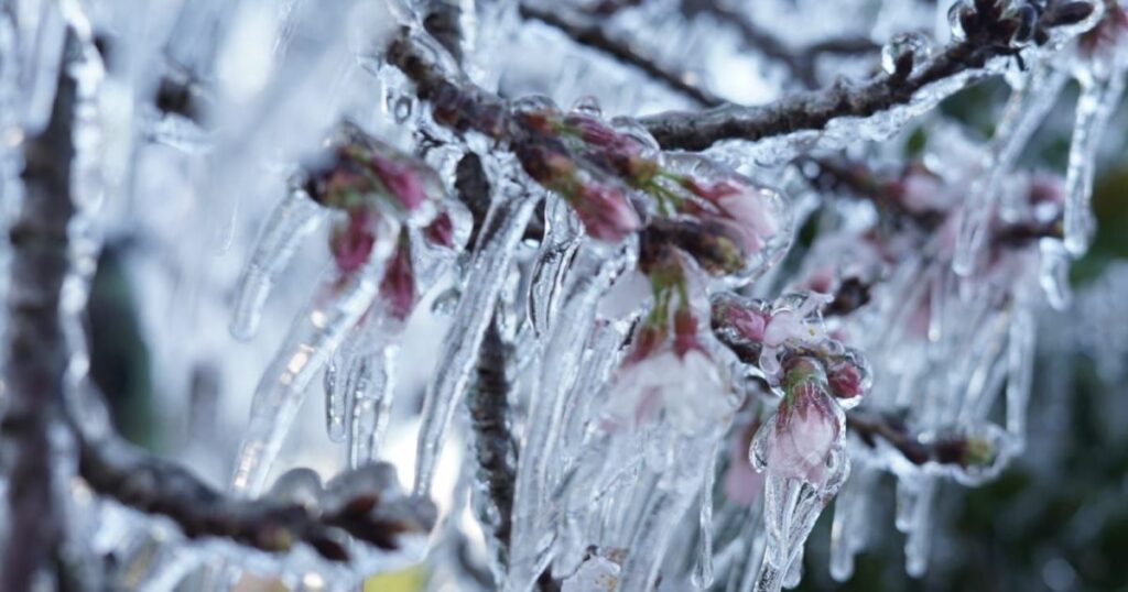 fim-de-semana-sera-frio-e-chuvoso-no-sul-e-sudeste;-veja-previsao