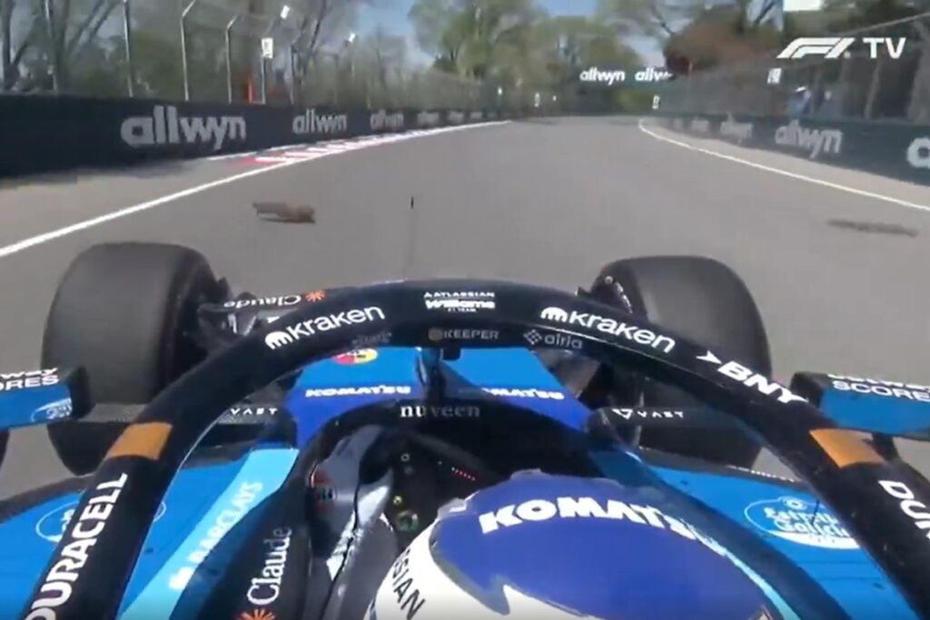 f1:-alexander-albon-bate-o-carro-apos-atropelar-marmota.-veja-video