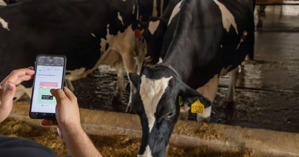 cowmed-preve-salto-de-65%-no-faturamento-com-vendas-de-coleiras-na-pecuaria