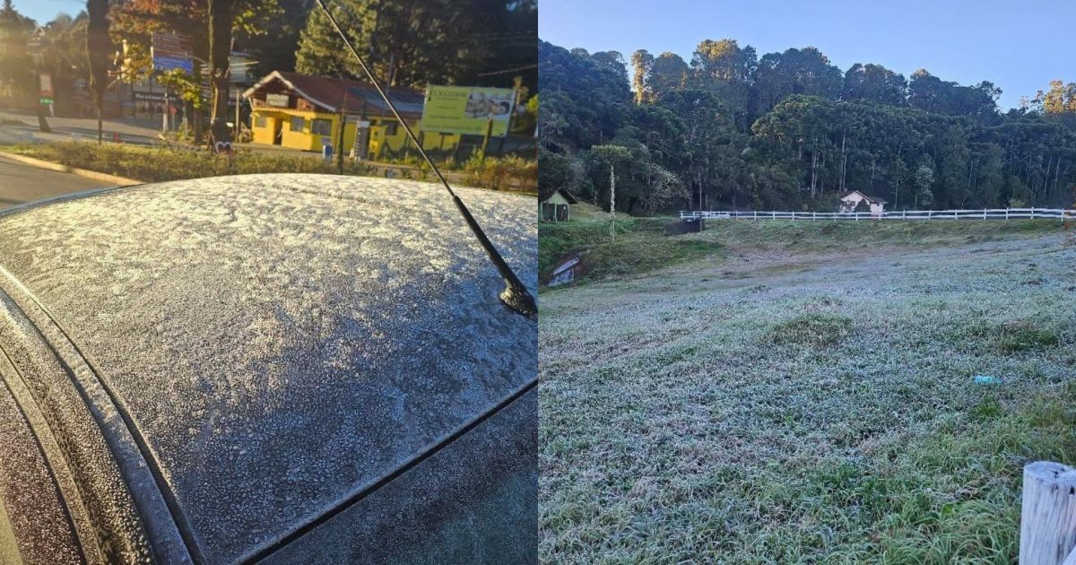 geadas-e-temperatura-de-1°c-sao-registradas-em-monte-verde-(mg);-veja-fotos